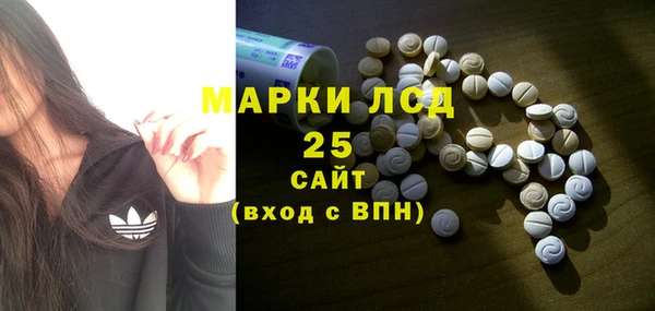 индика Аркадак