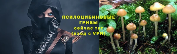 тгк Армянск