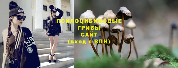 а пвп мука Арсеньев