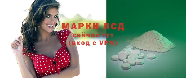 СК Алексин