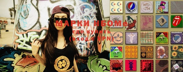 индика Аркадак
