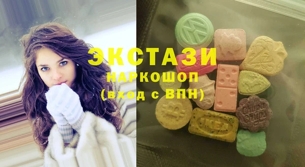 индика Аркадак