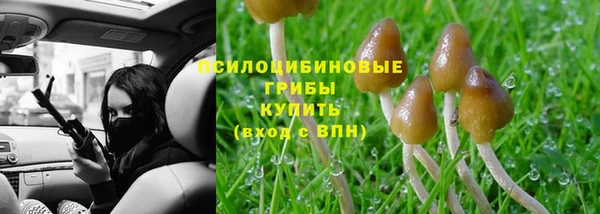 индика Аркадак